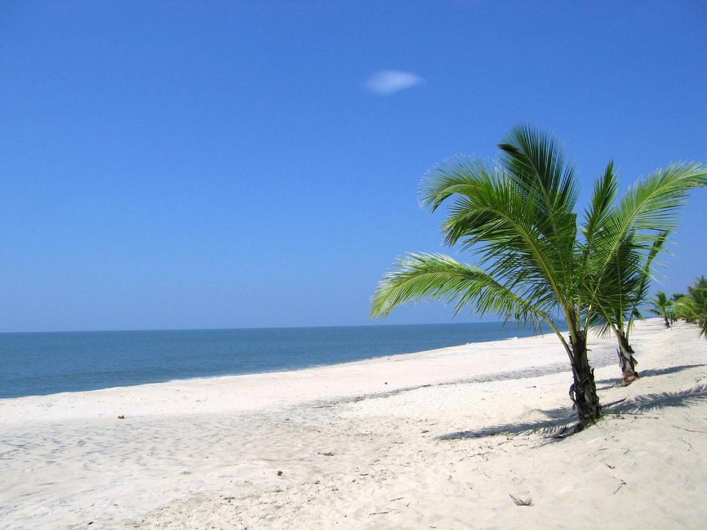 Marari Felix Beach Homestay Марарикулам Экстерьер фото